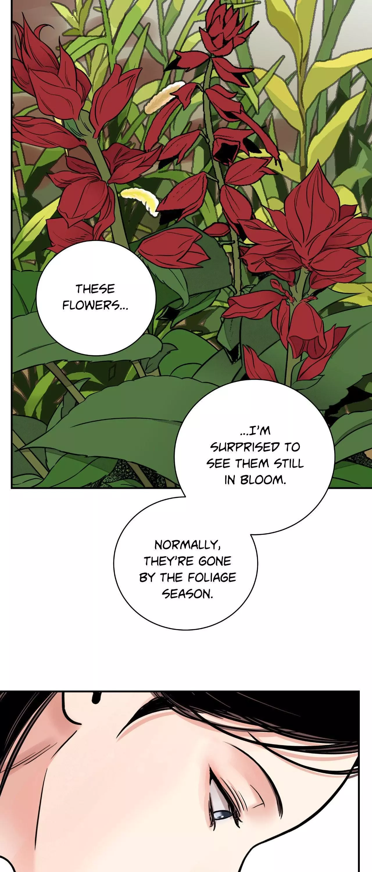 The Blade and Flower - Chapter 70 Page 33