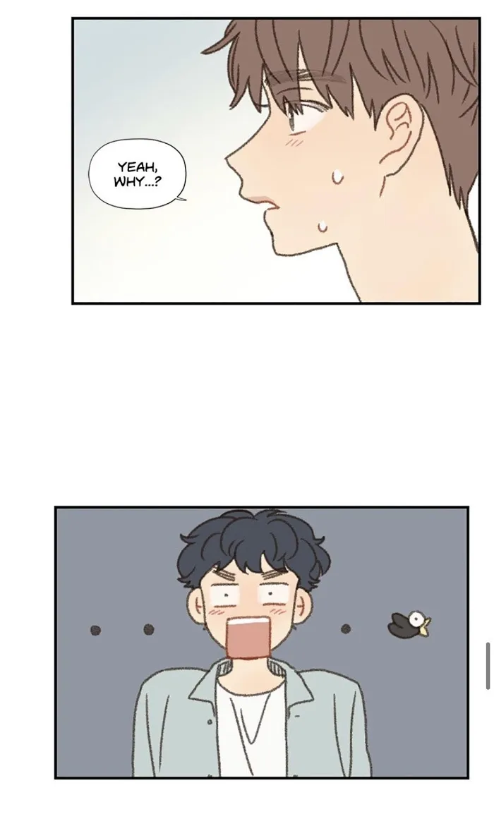 Don’t Forget That You Like Me - Chapter 38 Page 33