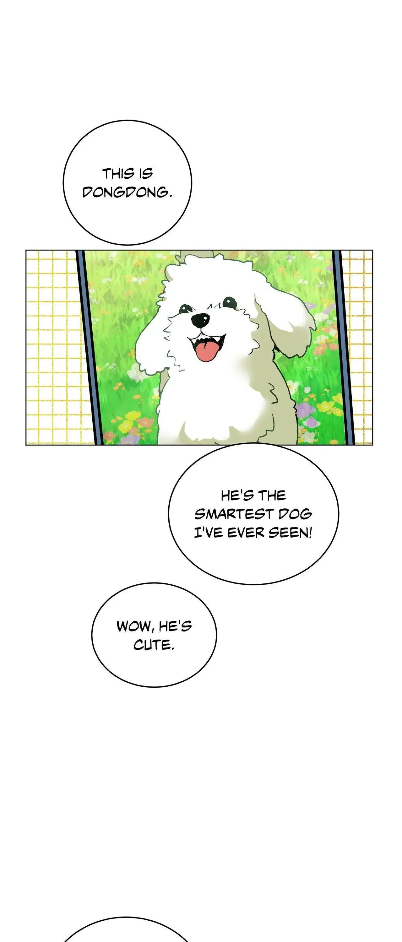 When Life Gives You Tomatoes - Chapter 8 Page 1