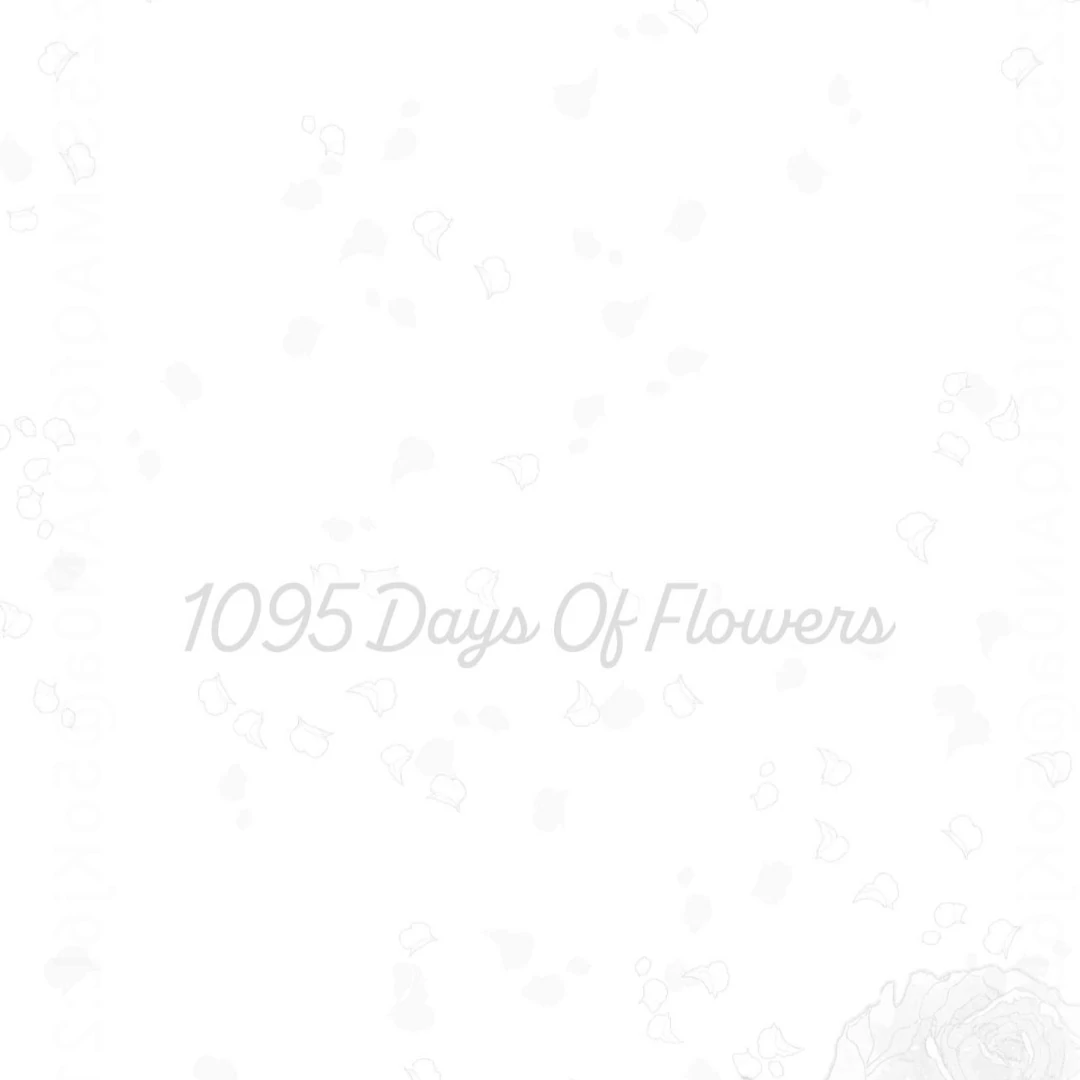 1095 Days of Flowers - Chapter 1 Page 15