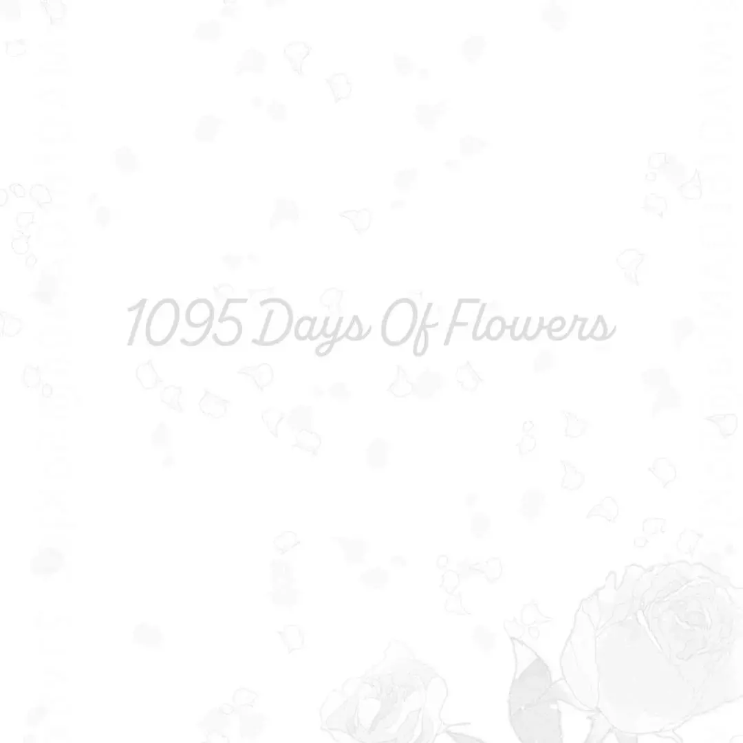 1095 Days of Flowers - Chapter 3 Page 3