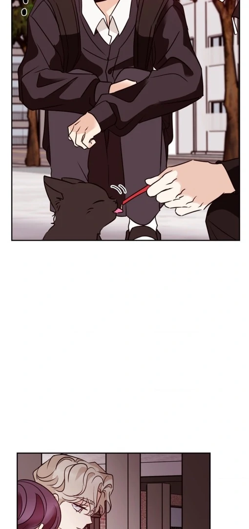 Involuntary Romance - Chapter 19 Page 15