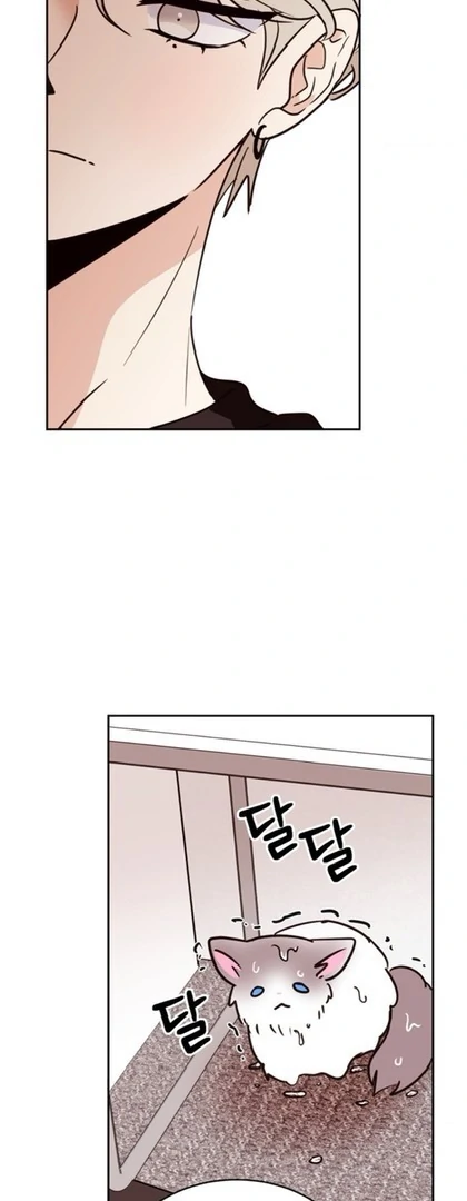 Involuntary Romance - Chapter 20 Page 13
