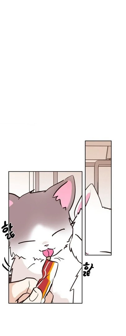 Involuntary Romance - Chapter 20 Page 28