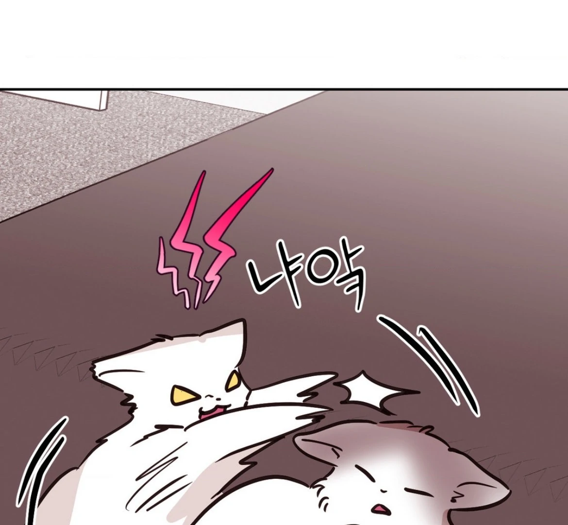 Involuntary Romance - Chapter 29 Page 16