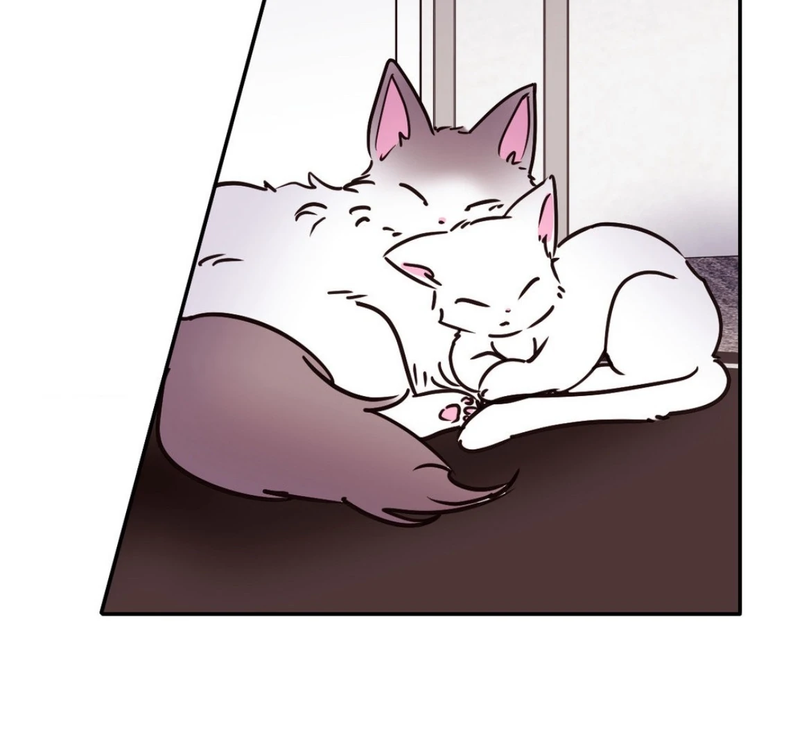 Involuntary Romance - Chapter 39 Page 48