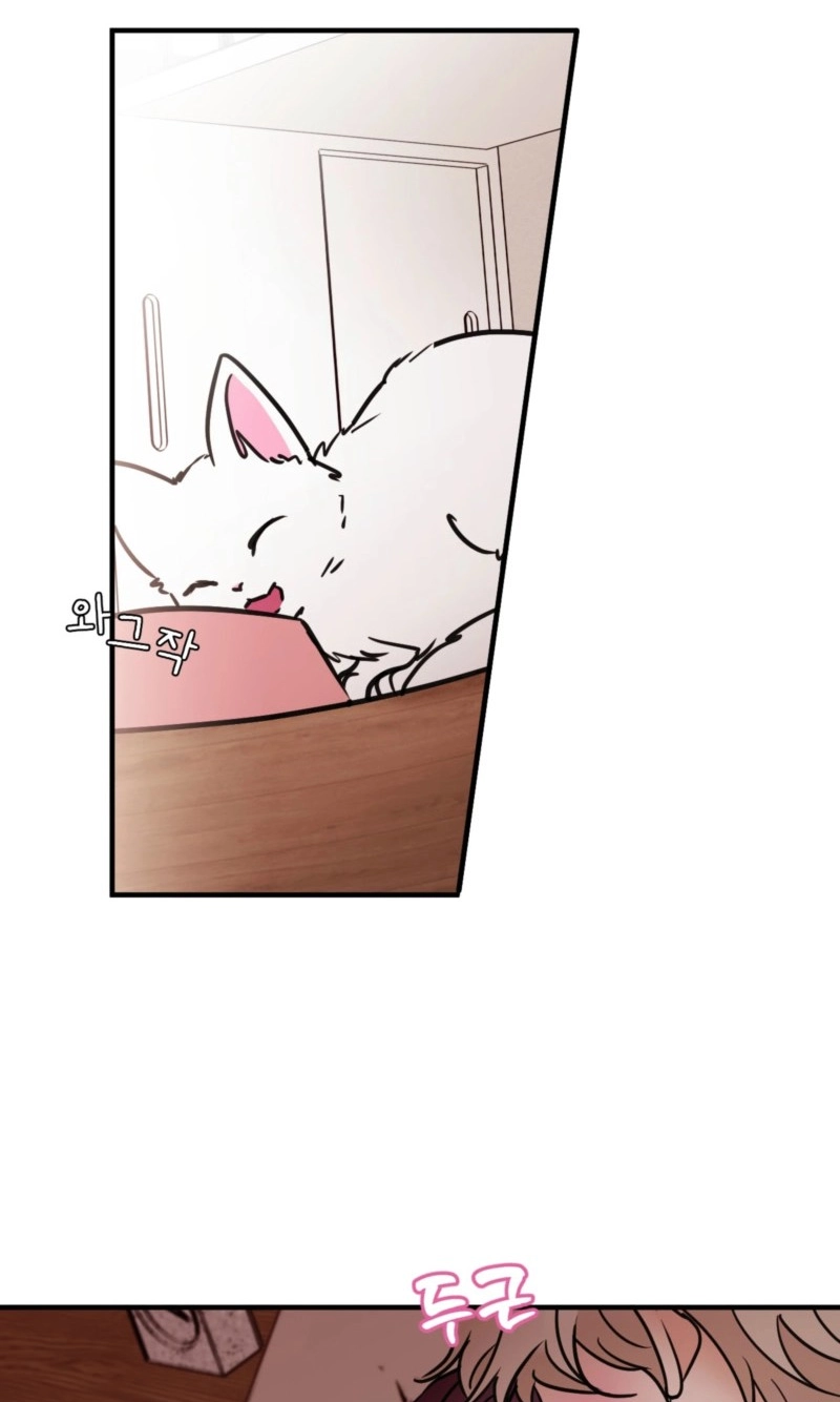 Involuntary Romance - Chapter 54 Page 2