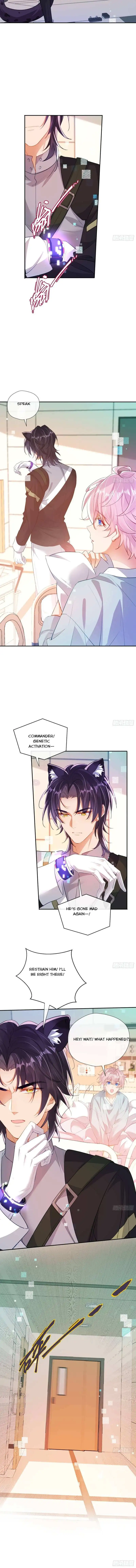 The Whole Universe Wants to Cuddle Me - Chapter 15 Page 5