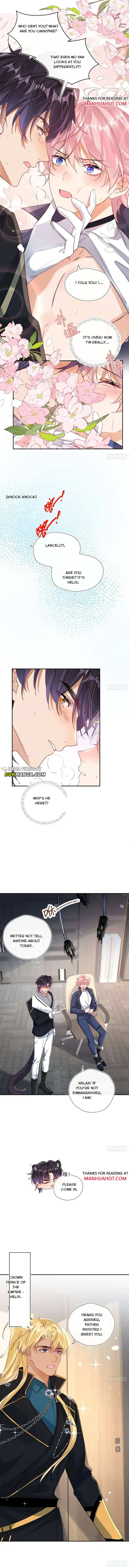 The Whole Universe Wants to Cuddle Me - Chapter 4 Page 11