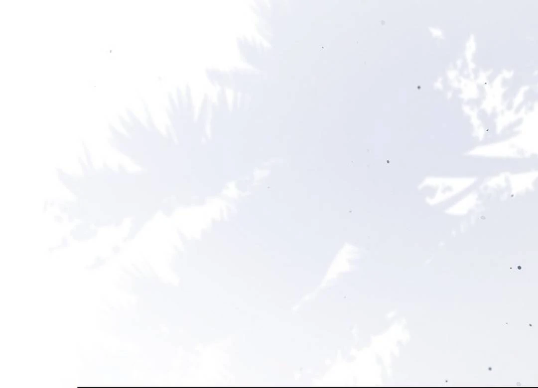 The Senior Brother That I Respected Had Became a Villain - Chapter 5 Page 135