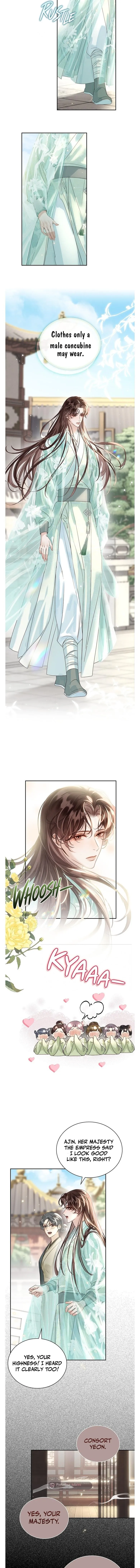 I Became the Emperor’s Hated Male Concubine - Chapter 15 Page 6