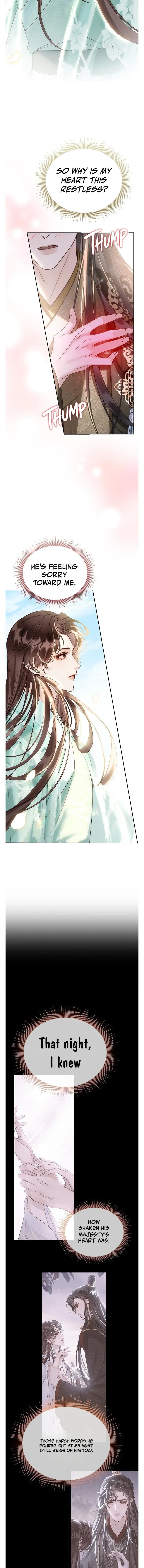 I Became the Emperor’s Hated Male Concubine - Chapter 17 Page 4
