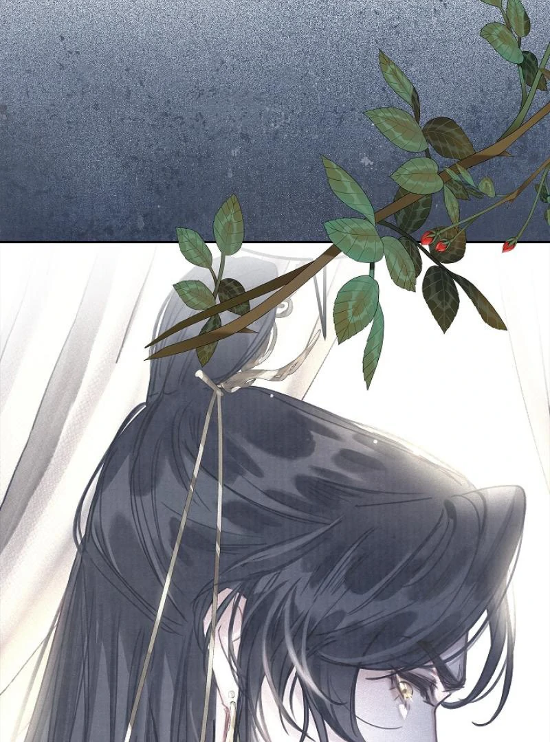 I Became the Emperor’s Hated Male Concubine - Chapter 2 Page 9