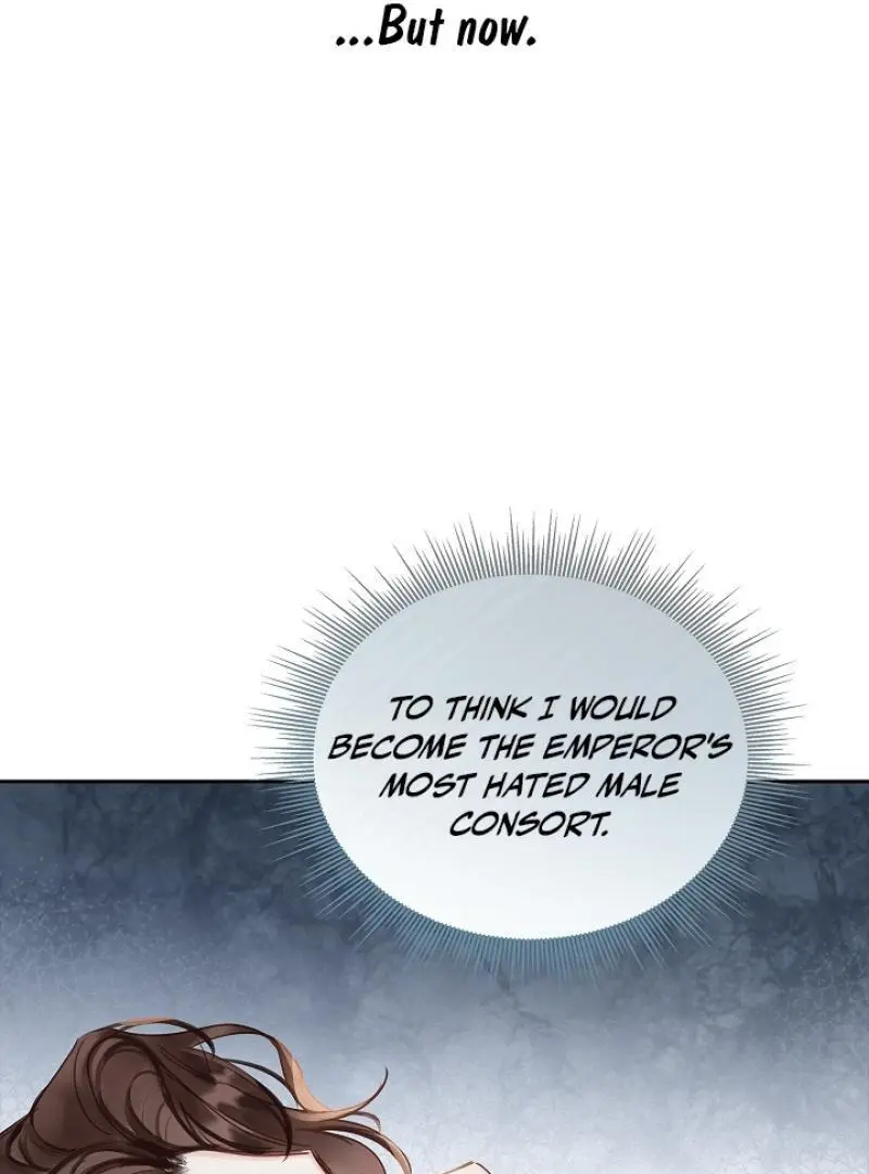 I Became the Emperor’s Hated Male Concubine - Chapter 2 Page 25