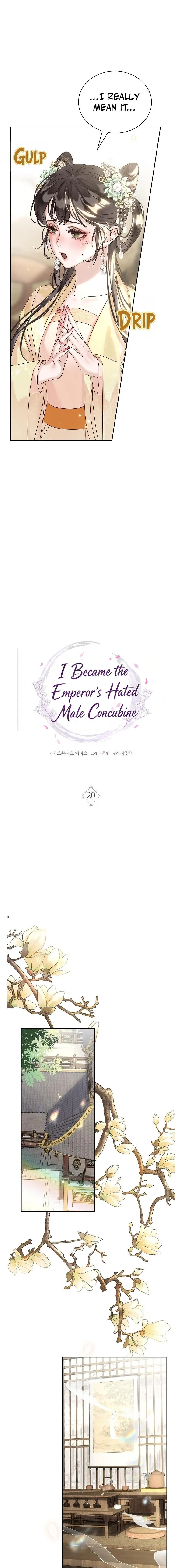 I Became the Emperor’s Hated Male Concubine - Chapter 20 Page 4