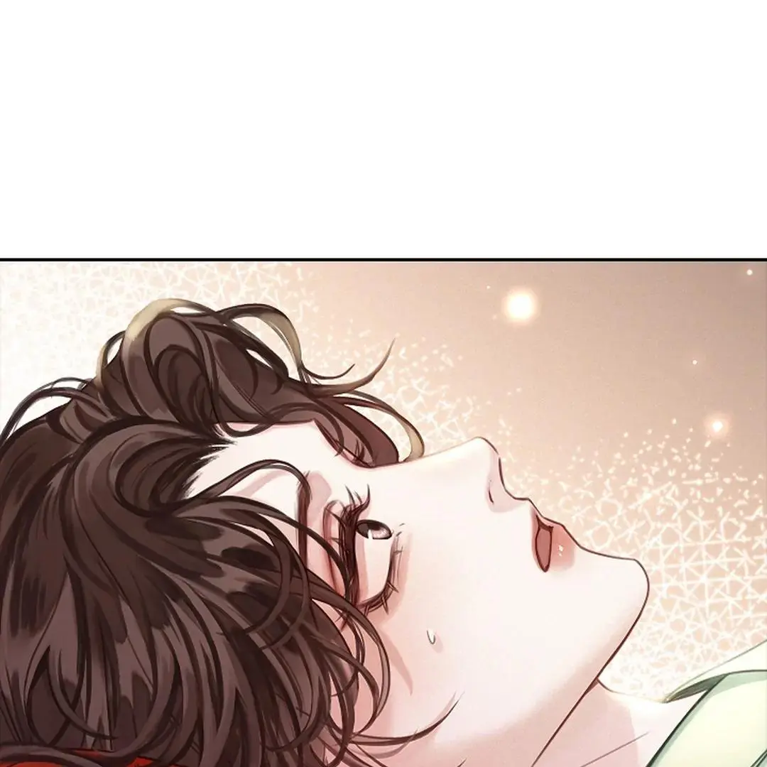 I Became the Emperor’s Hated Male Concubine - Chapter 3 Page 28