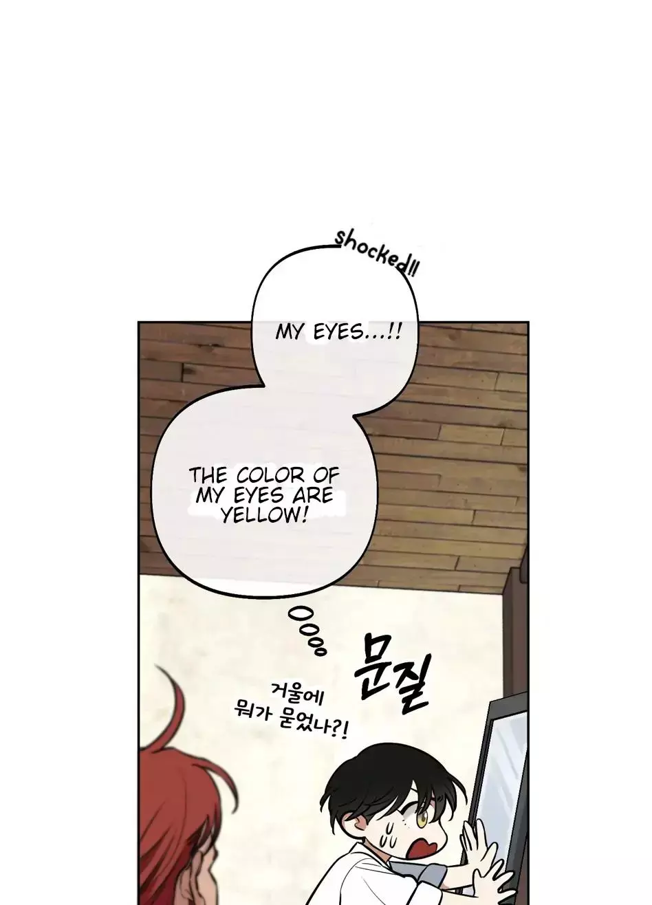 Rolling to be the King - Chapter 2 Page 14