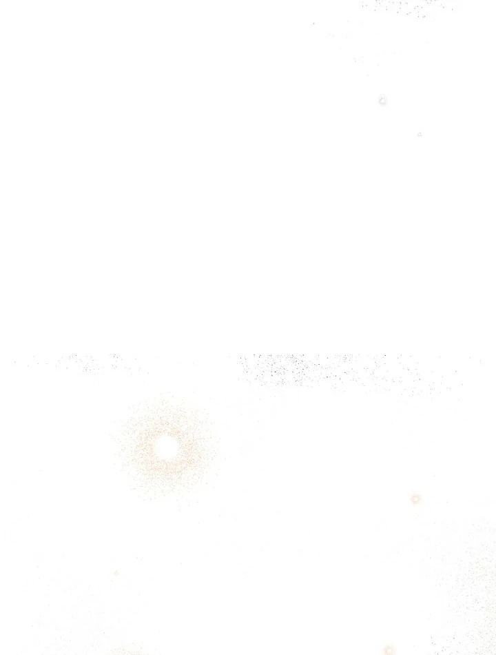 The Atmosphere of the Novel is in Crisis - Chapter 14 Page 28