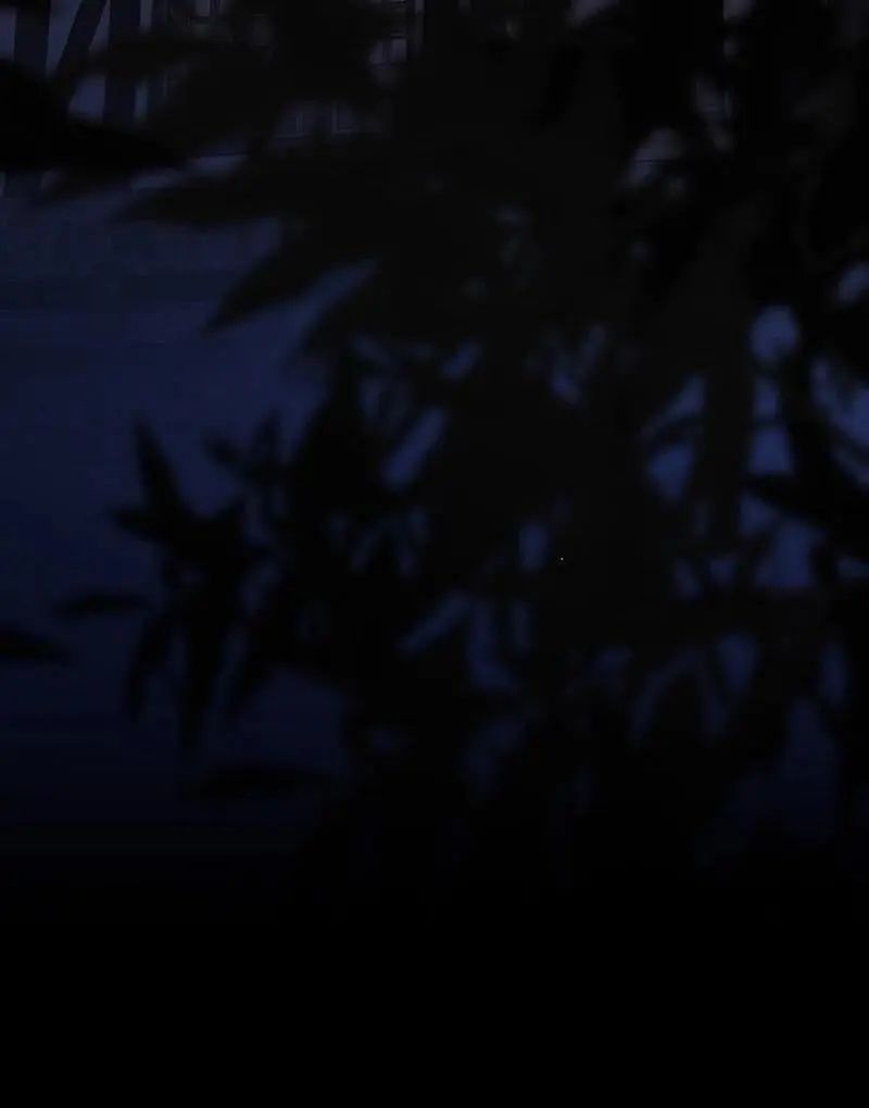 The Atmosphere of the Novel is in Crisis - Chapter 21 Page 161