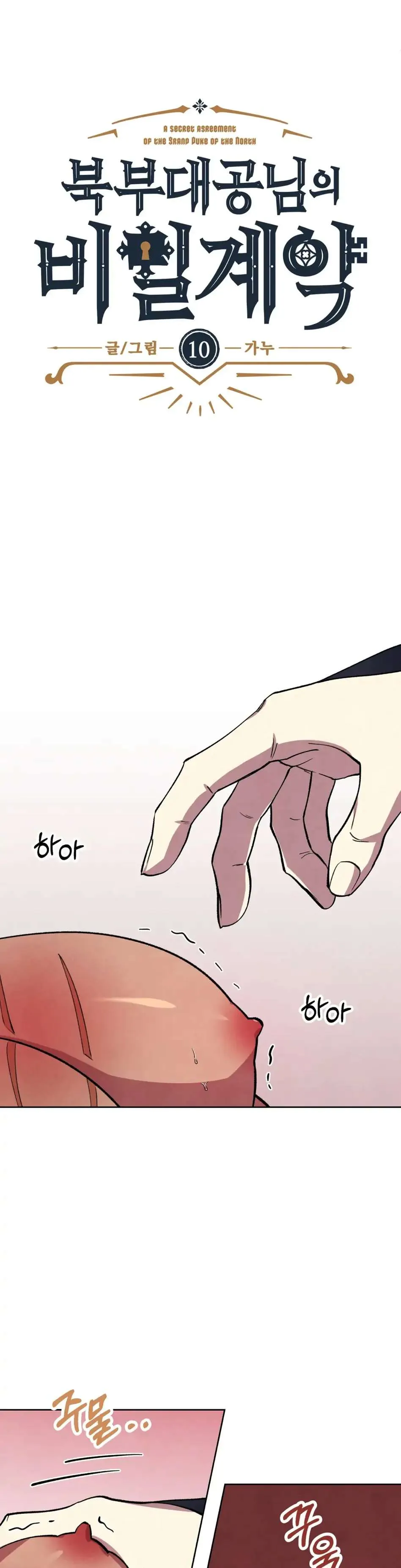 The Northern Grand Duke’s Secret Contract - Chapter 10 Page 2