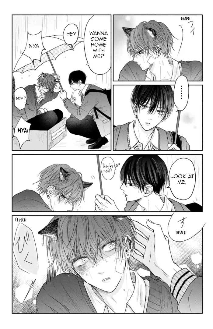 Tamaranai no wa Koi na no ka? - Chapter 4.5 Page 2