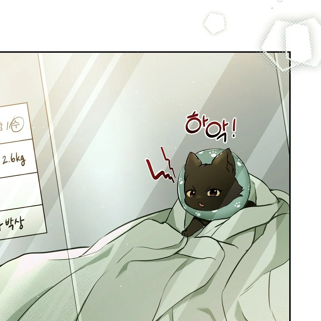 Cat Therapy - Chapter 1 Page 136