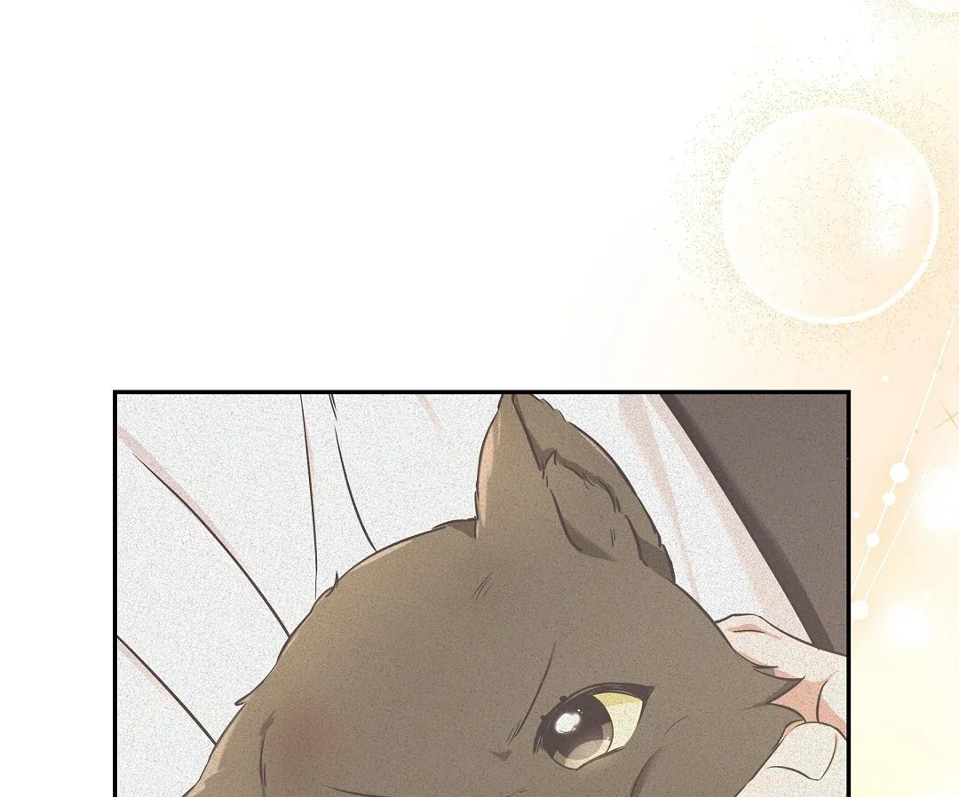 Cat Therapy - Chapter 1 Page 145