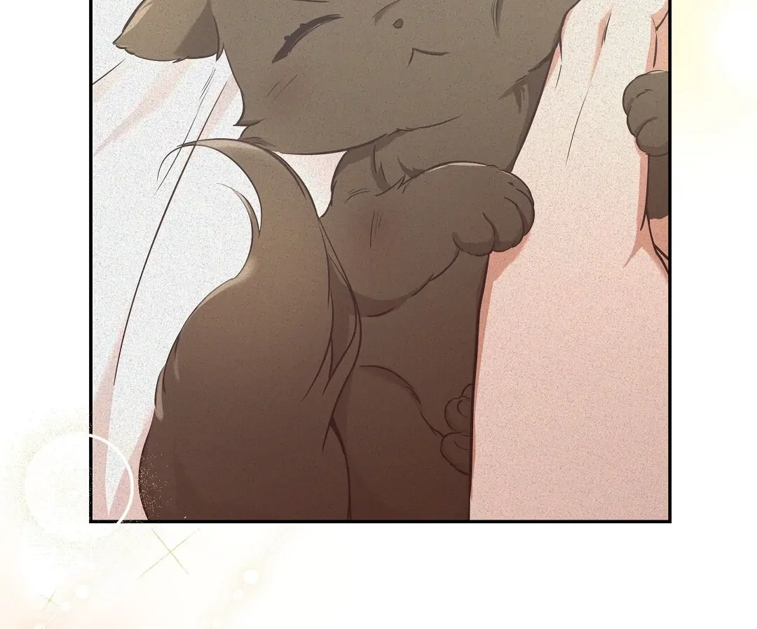 Cat Therapy - Chapter 1 Page 146
