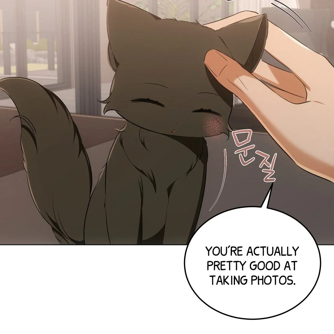 Cat Therapy - Chapter 10 Page 64