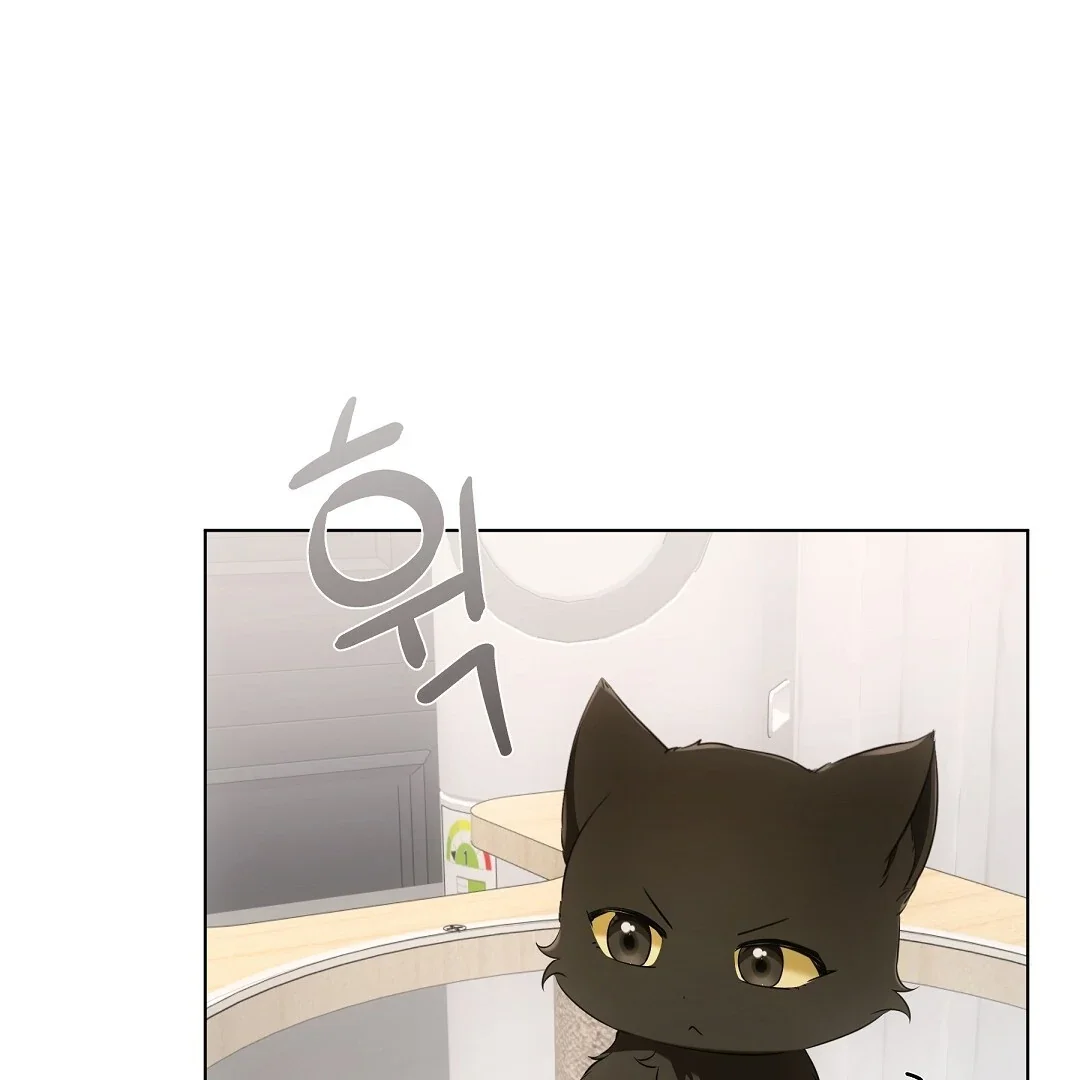 Cat Therapy - Chapter 11 Page 4