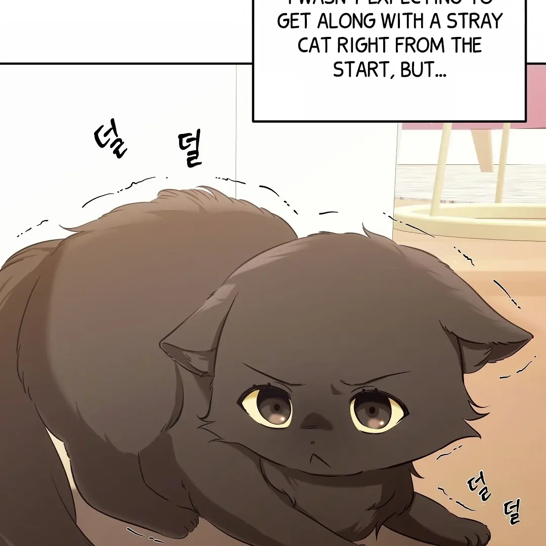 Cat Therapy - Chapter 2 Page 19