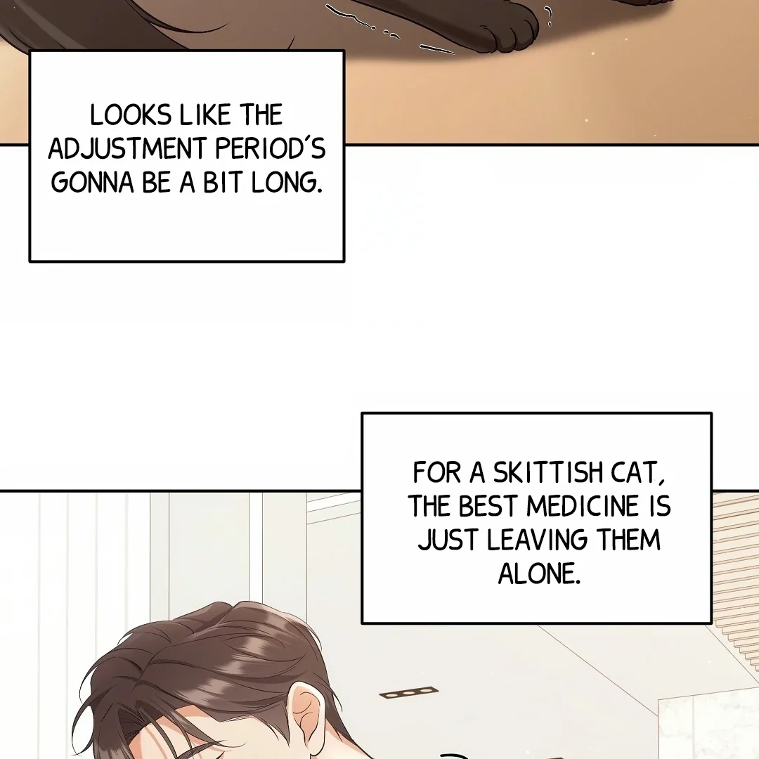 Cat Therapy - Chapter 2 Page 20