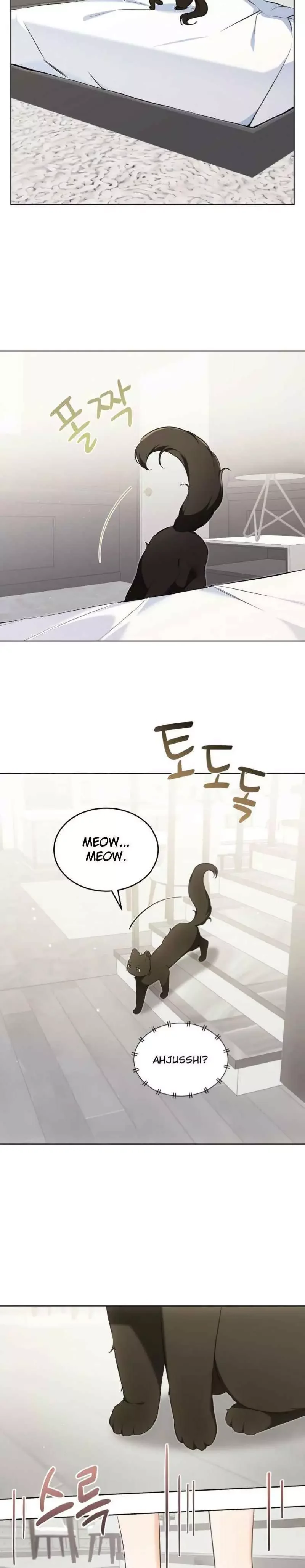 Cat Therapy - Chapter 25 Page 3