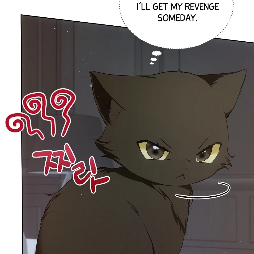 Cat Therapy - Chapter 7 Page 14