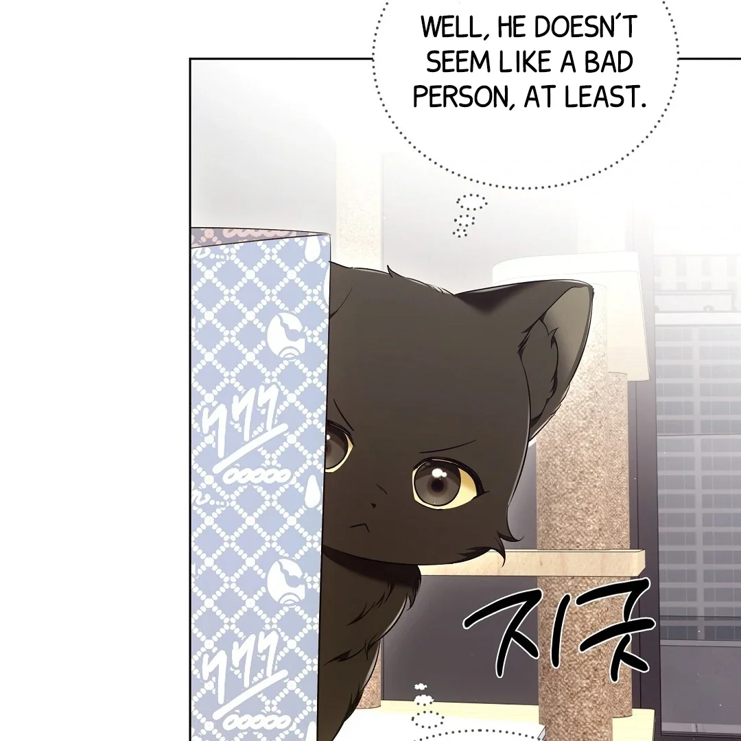 Cat Therapy - Chapter 8 Page 62