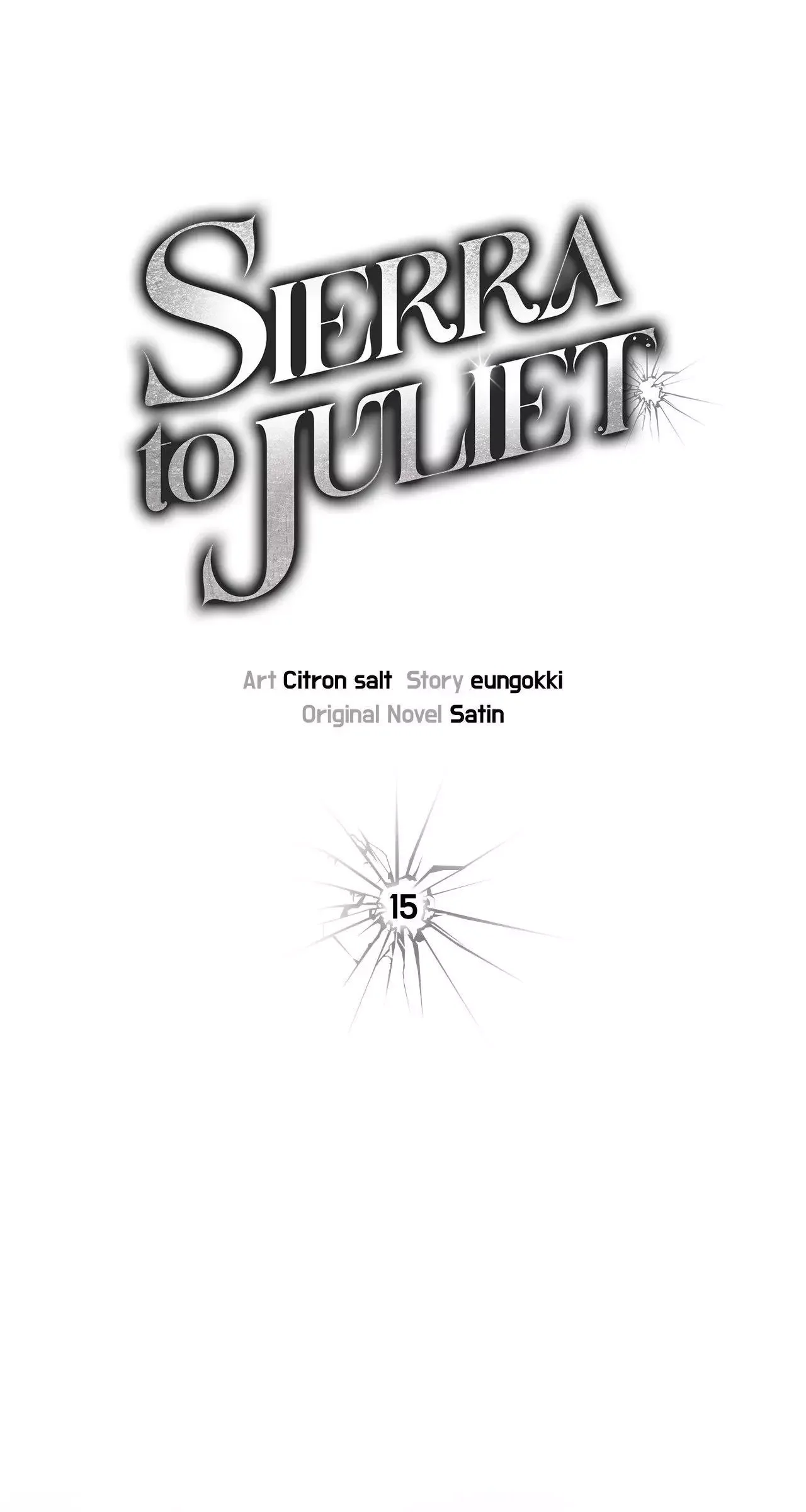 Sierra To Juliet - Chapter 15 Page 31