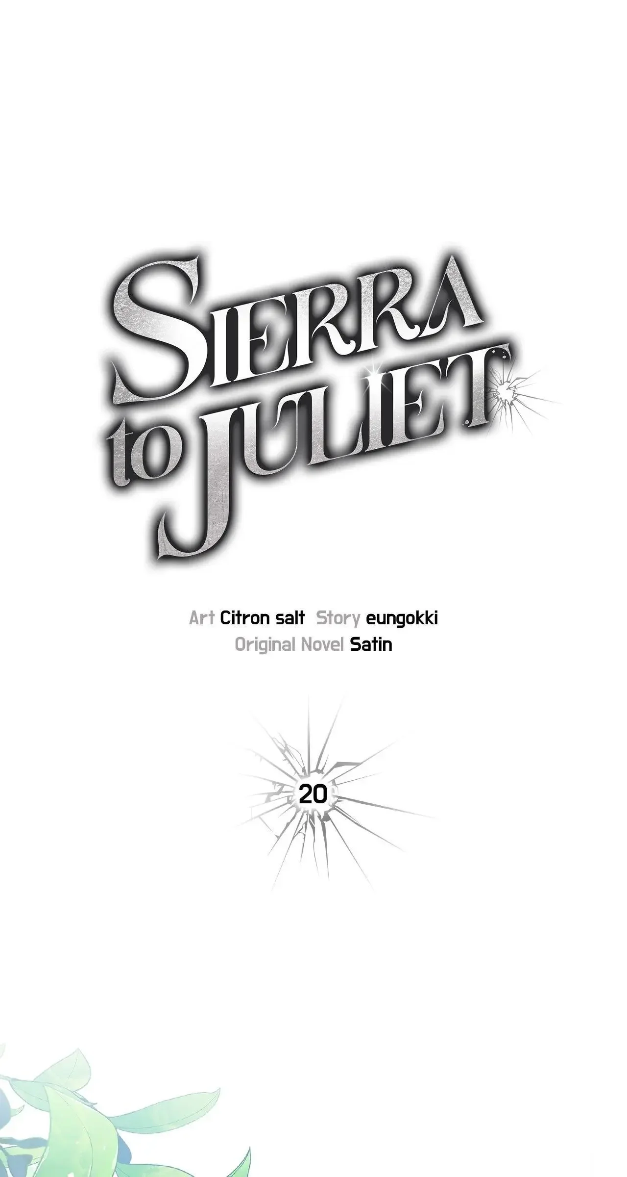 Sierra To Juliet - Chapter 20 Page 29
