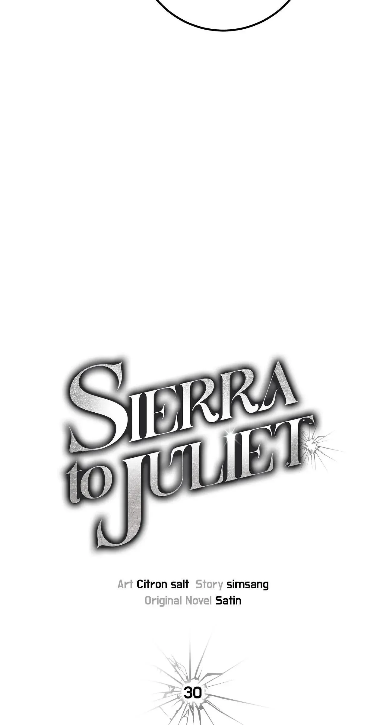 Sierra To Juliet - Chapter 30 Page 29