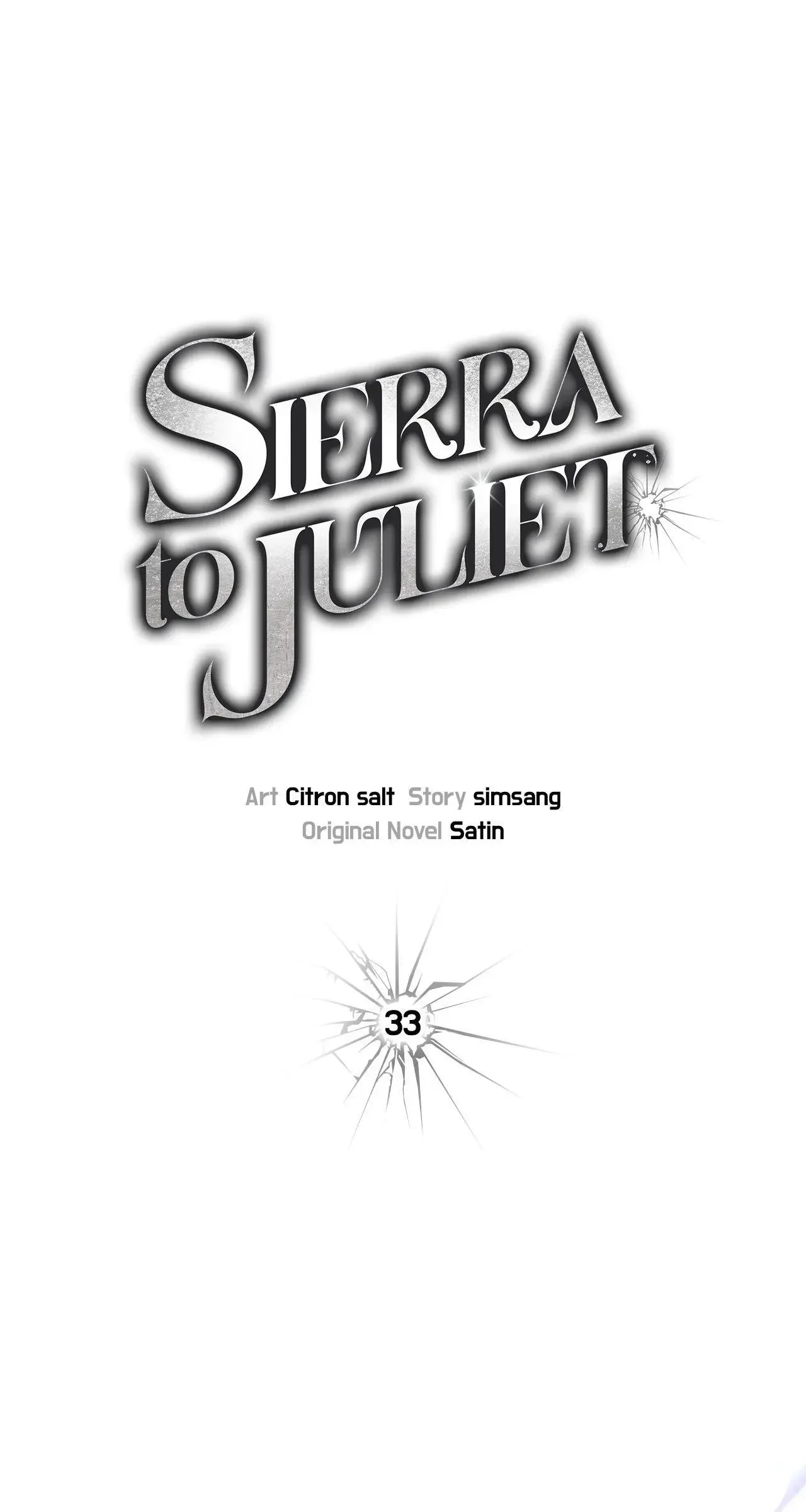Sierra To Juliet - Chapter 33 Page 28