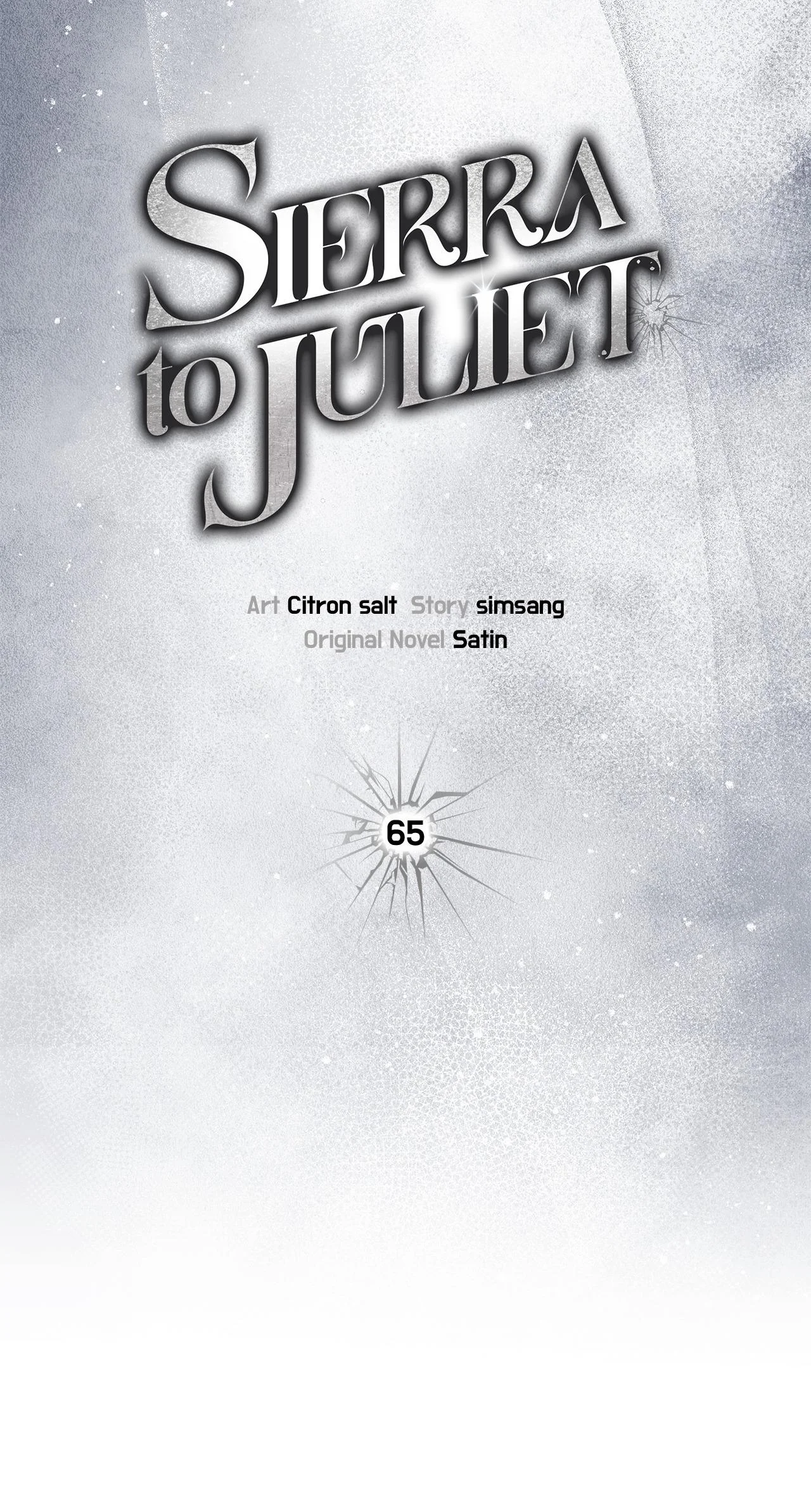 Sierra To Juliet - Chapter 65 Page 11