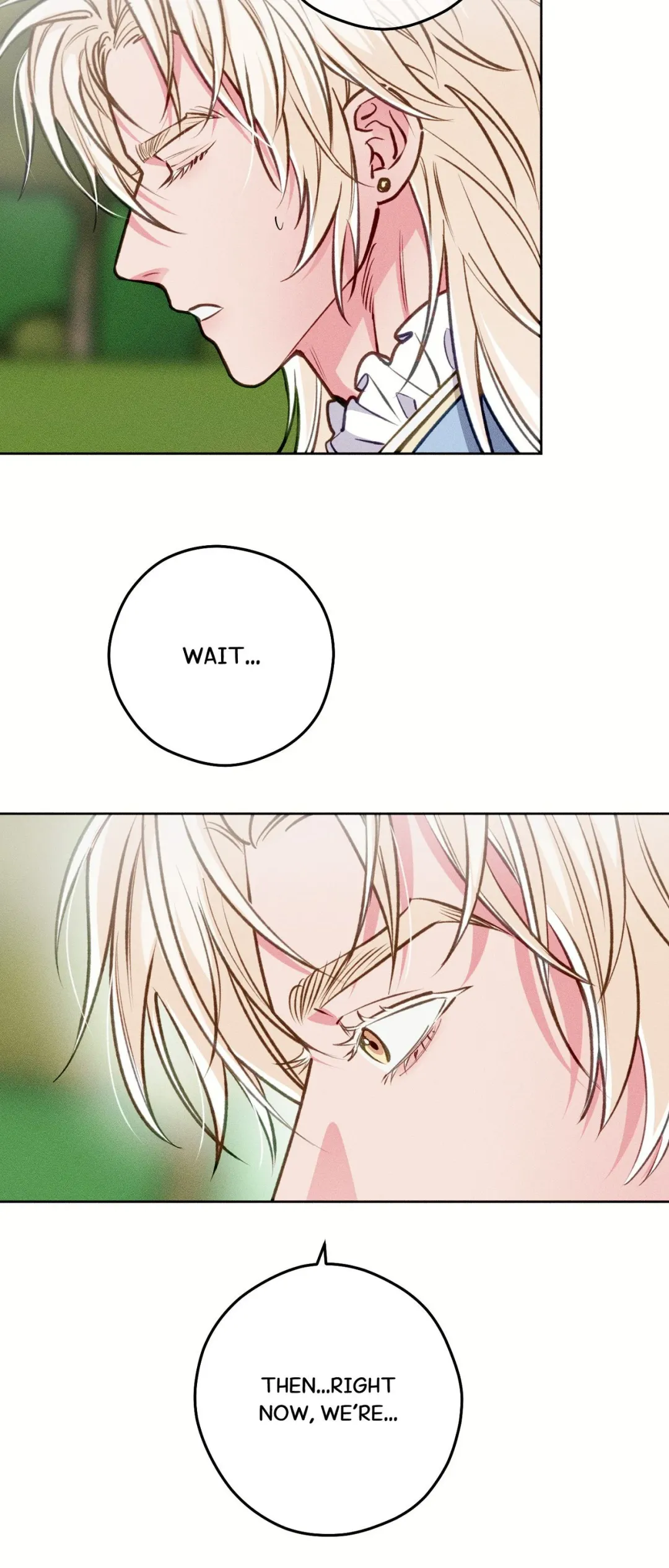 The Count has been Reincarnated - Chapter 26 Page 5
