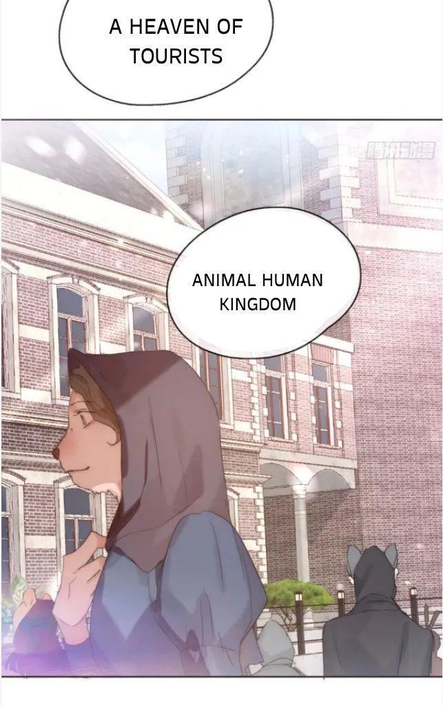 Please, Sleep With Me - Chapter 81 Page 43