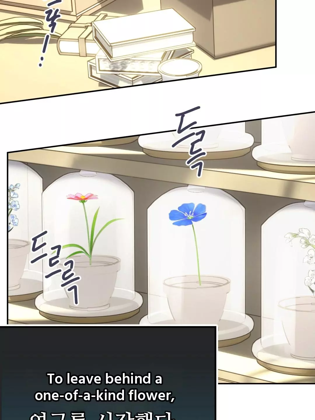 Somehow Hot-Place Flower Shop - Chapter 0 Page 17