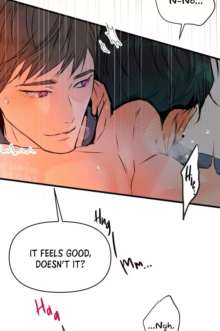 Prostate Capture Report - Chapter 16 Page 104