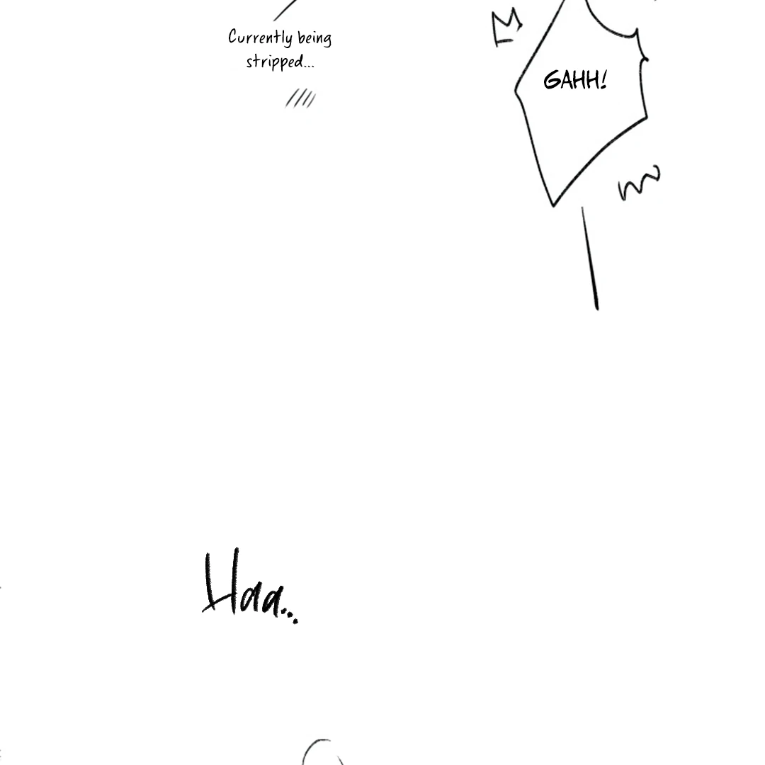 Prostate Capture Report - Chapter 24.5 Page 11