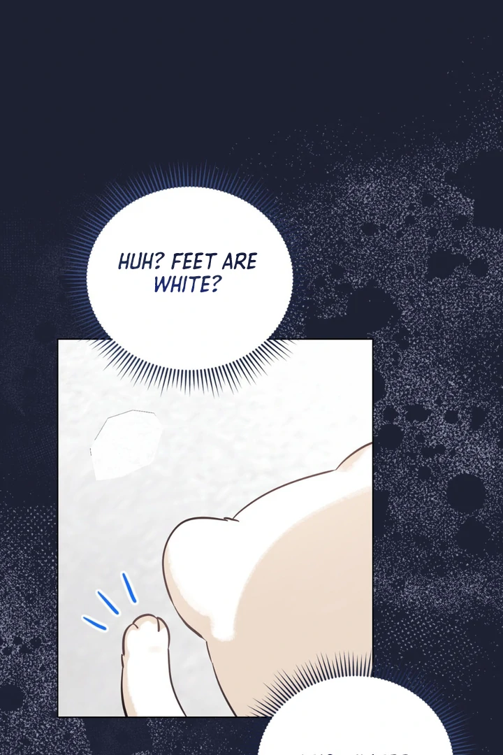 Wild Beast Warning - Chapter 4 Page 69