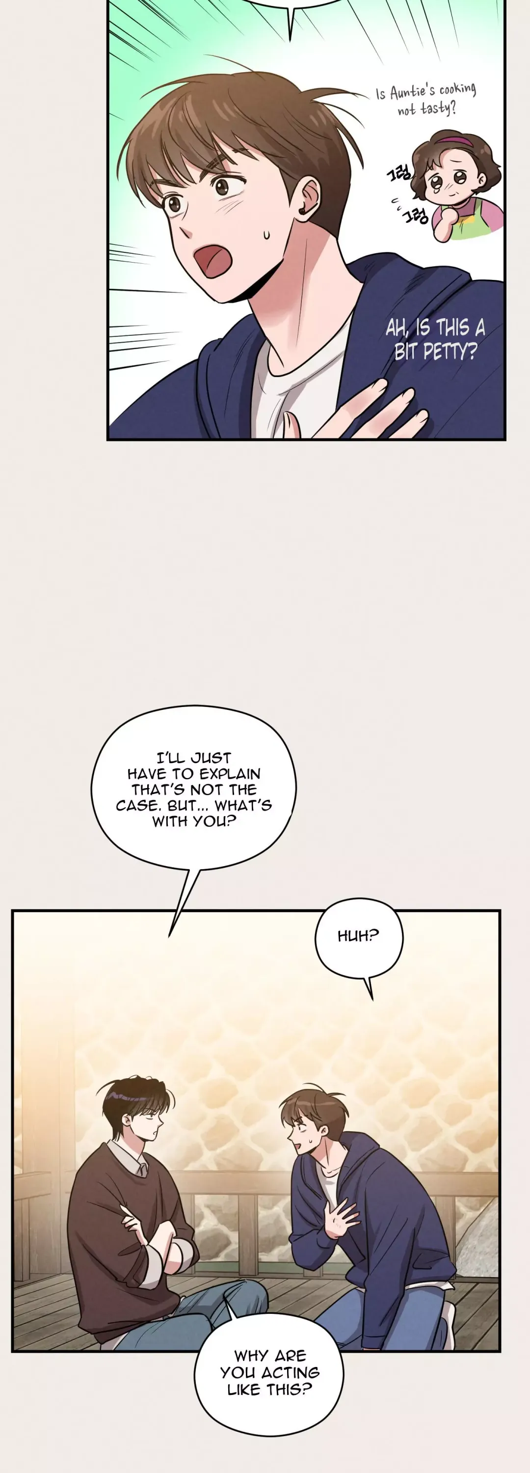 1995 Youth Report - Chapter 13 Page 42