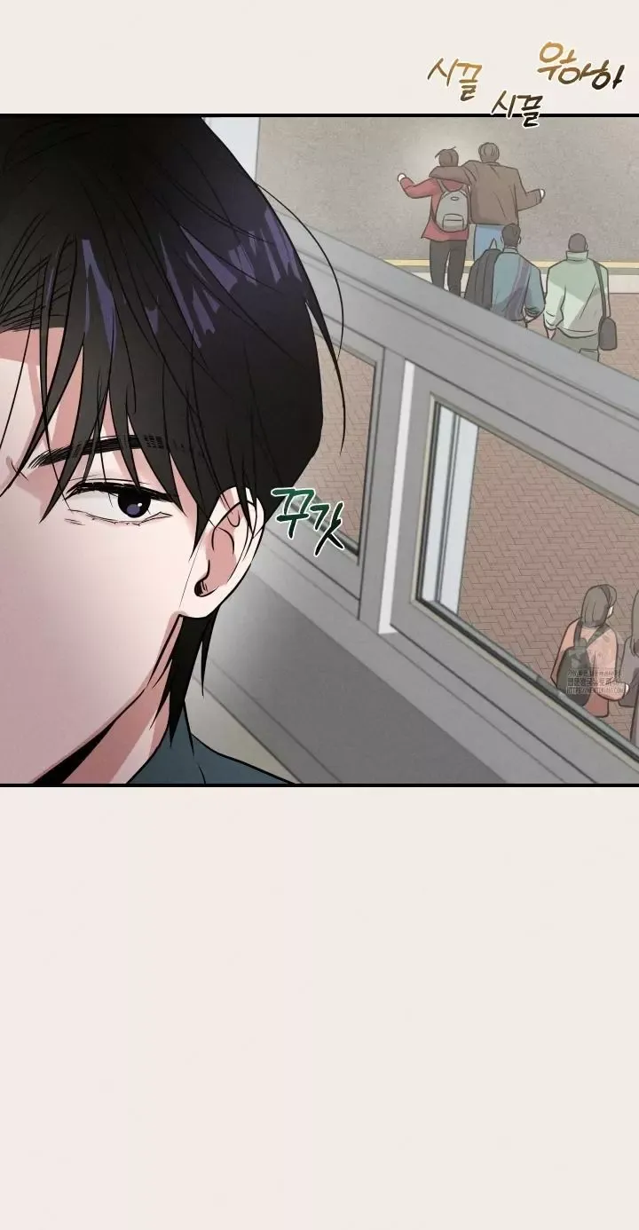 1995 Youth Report - Chapter 2 Page 11
