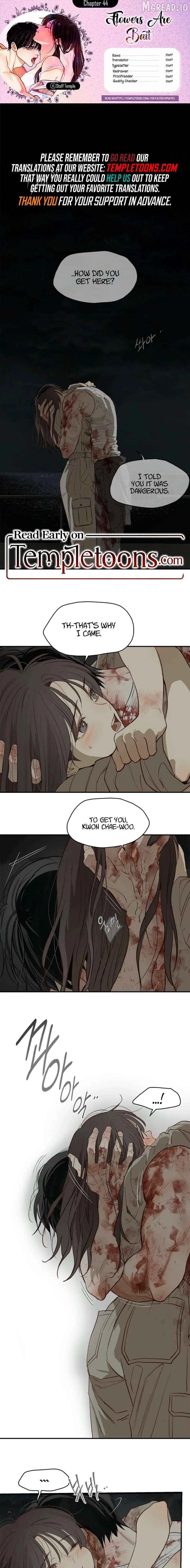Flowers Are Bait - Chapter 44 Page 1