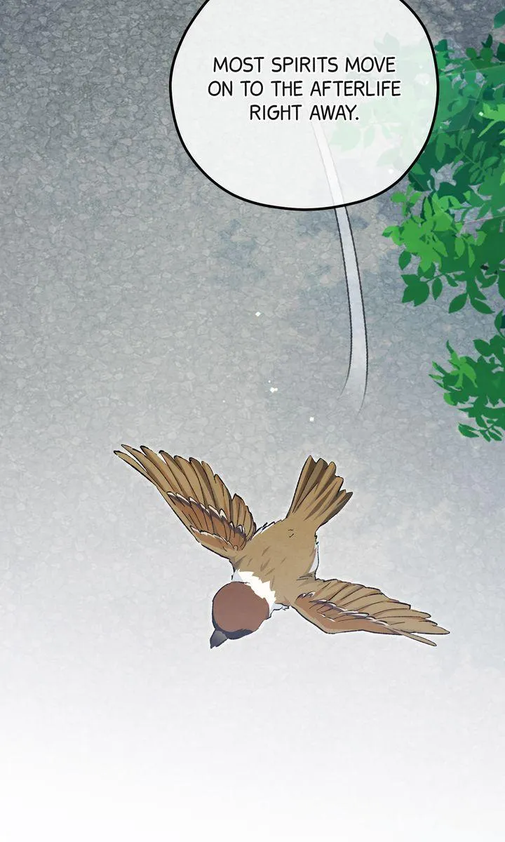 The Spirit of the Ghost - Chapter 52 Page 32
